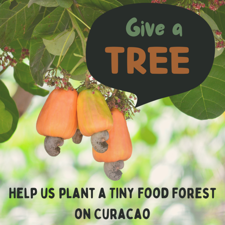 Give a Tree to help us plant a Tiny Food Forest